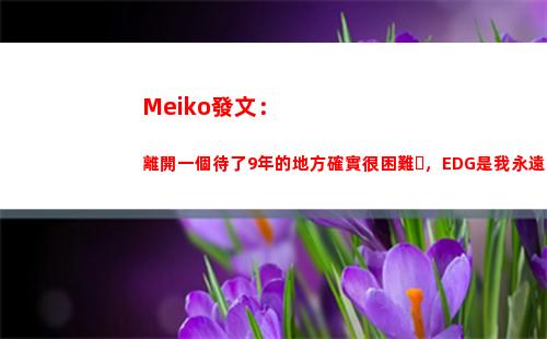 Meiko發文：離開一個待了9年的地方確實很困難，EDG是我永遠的家
